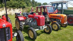 2018 05 31 Maibaumumschnitt017