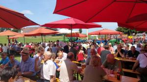 2018 05 31 Maibaumumschnitt023