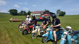 2018 05 31 Maibaumumschnitt024