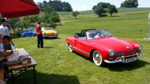 2018 05 31 Maibaumumschnitt025