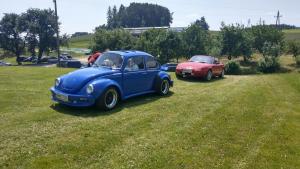 2018 05 31 Maibaumumschnitt026