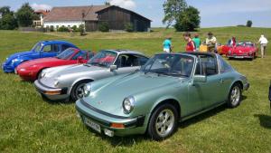 2018 05 31 Maibaumumschnitt027