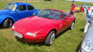 2018 05 31 Maibaumumschnitt030