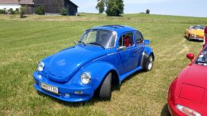 2018 05 31 Maibaumumschnitt031