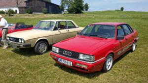 2018 05 31 Maibaumumschnitt035