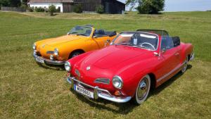 2018 05 31 Maibaumumschnitt036