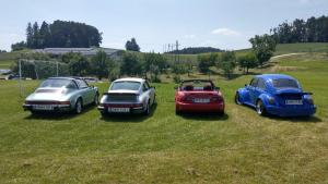 2018 05 31 Maibaumumschnitt037