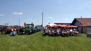 2018 05 31 Maibaumumschnitt038