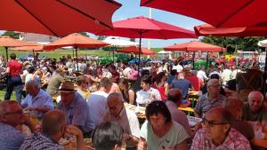 2018 05 31 Maibaumumschnitt042