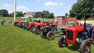 2018 05 31 Maibaumumschnitt043