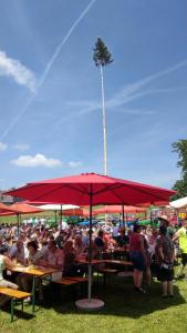 2018 05 31 Maibaumumschnitt044