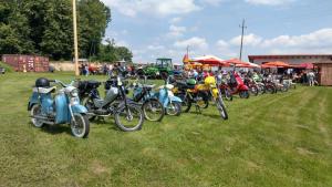 2018 05 31 Maibaumumschnitt045