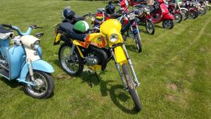 2018 05 31 Maibaumumschnitt046