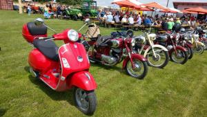 2018 05 31 Maibaumumschnitt047