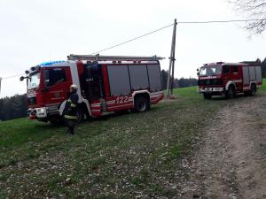 2019-04-05 TE-Telelader 002