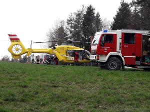 2019-04-05 TE-Telelader 004