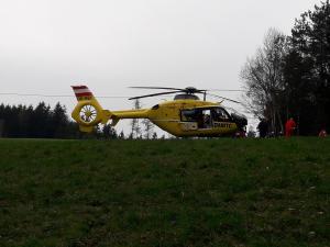 2019-04-05 TE-Telelader 005