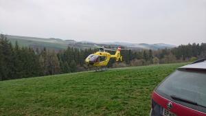 2019-04-05 TE-Telelader 011