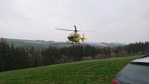 2019-04-05 TE-Telelader 012