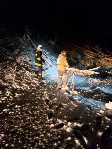 5efc4bbb-9b65-4283-a0d1-90b0a857b9c7