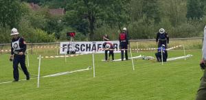 PHOTO-2018-06-16-17-17-59 3