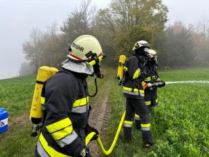 WhatsApp-Image-2024-10-27-at-17.51.52-3