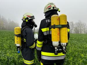 WhatsApp-Image-2024-10-27-at-17.51.52-4